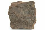 Chondrite Meteorite ( grams) - Western Sahara Desert #232923-1